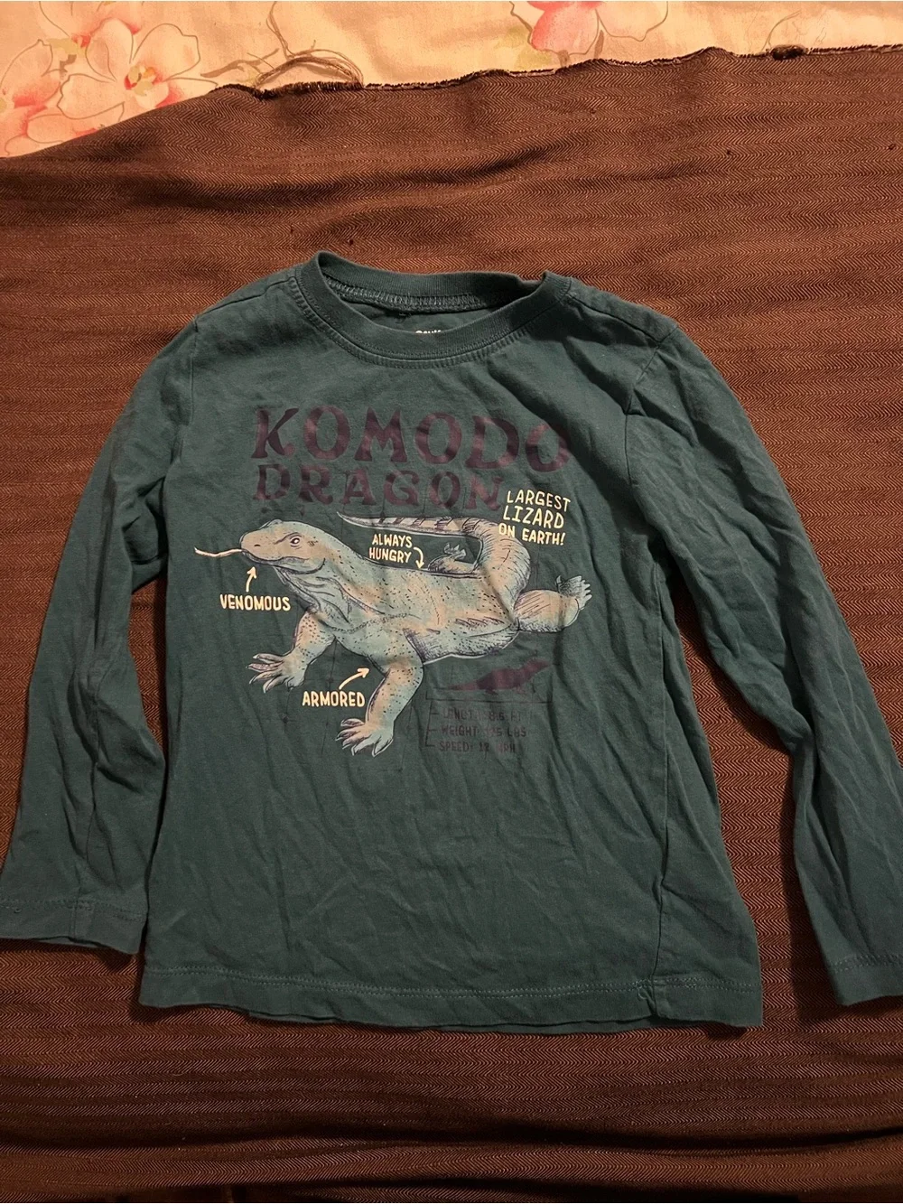 Osh Kosh Toddler Komodo Dragon Long Sleeve T-shirts Size 3T